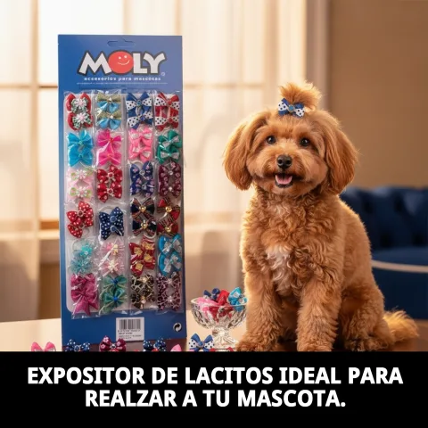 Détail lacets doubles colorés pour chiens