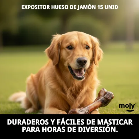 Os de jambon, source de protéines et calcium pour chiens