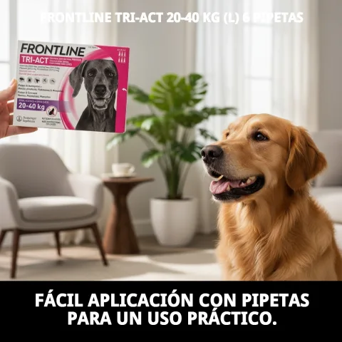 Détail de la zone d'application de FRONTLINE TRI-ACT sur le chien