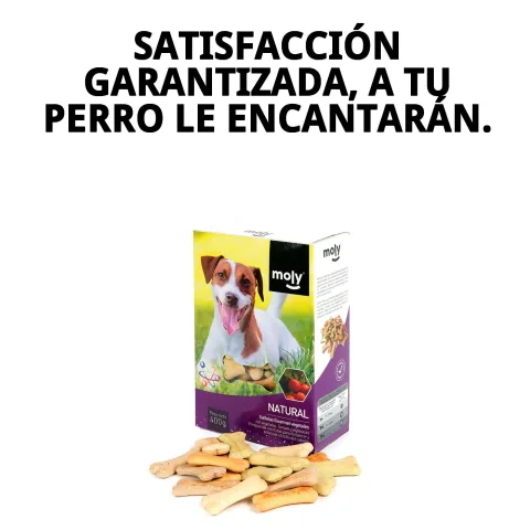 Biscuits Gourmet Végétaux Moly à côté d'autres snacks pour chiens
