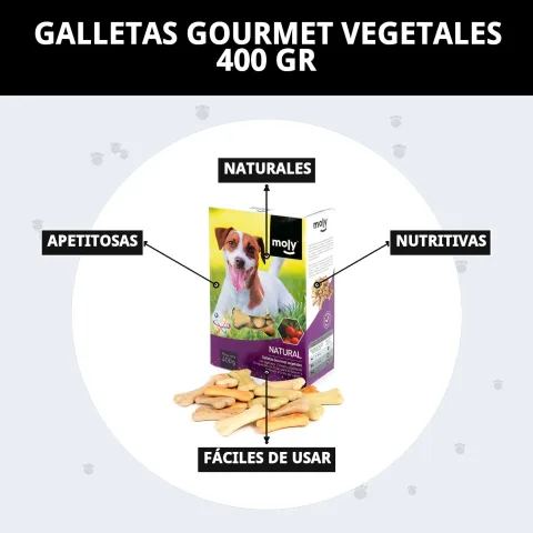 Utilisation des biscuits végétaux Moly lors d'une séance d'entraînement canin