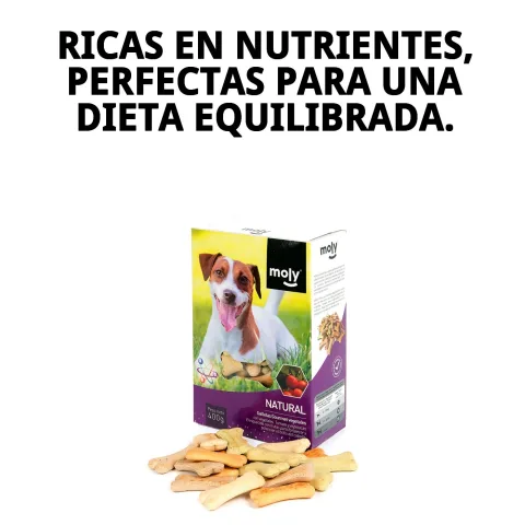 Paquet ouvert montrant biscuits croquants pour chiens