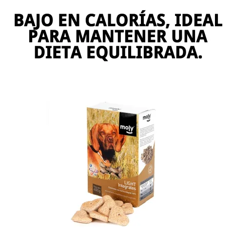 Biscuits light complets pour chiens en main