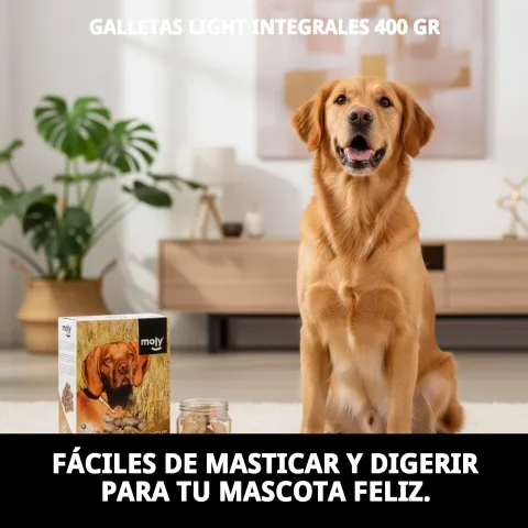Ingrédients naturels des biscuits complets pour chiens