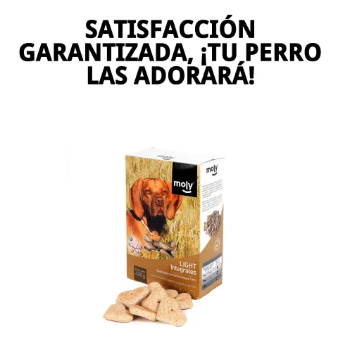 Biscuits light complets à côté d'un bol d'eau pour chiens