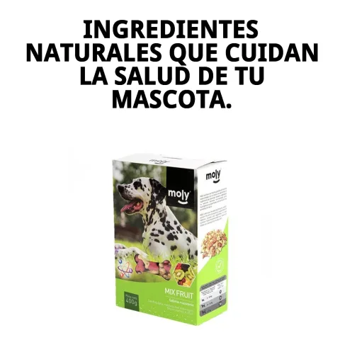 Snack naturel sans conservateurs ni colorants pour chiens