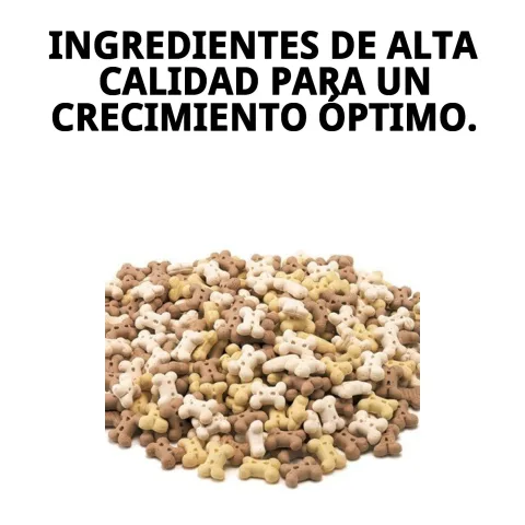 Détail des biscuits Puppy Moly pour chiens en croissance