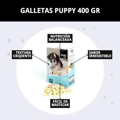 Biscuits Puppy Moly empilés montrant leur taille et forme