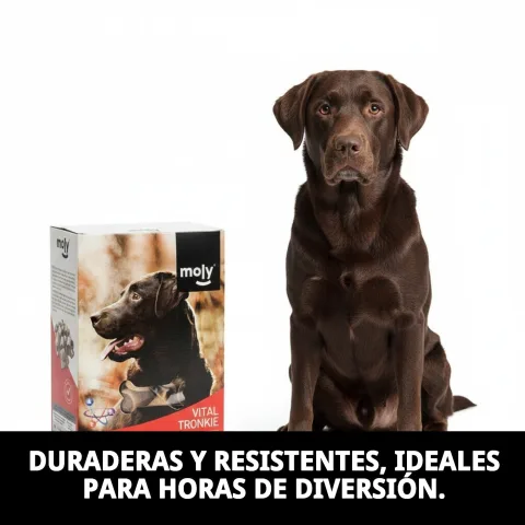 Vue latérale du paquet de biscuits fourrés moelle