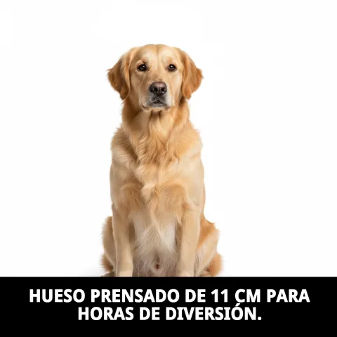 Os pressé pour santé dentaire chiens petits