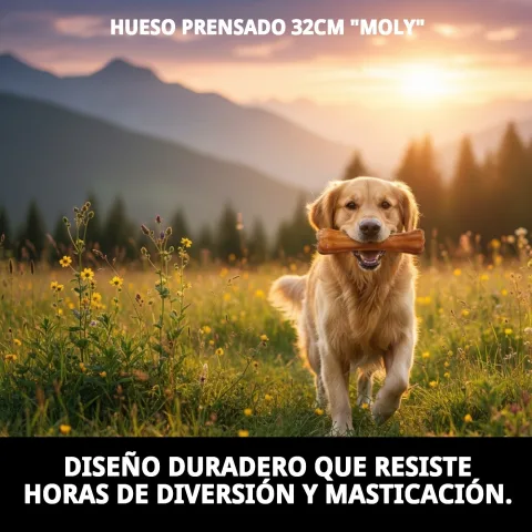 Os pressé pour mastication prolongée et soin dentaire canin