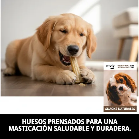 Os pressés pour chiens avec texture ferme et saine