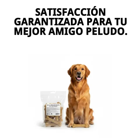 Produit naturel pour hygiène dentaire chez les chiens moyens