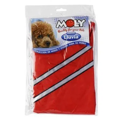 Petit chien portant un imperméable réfléchissant lors d’une promenade sous la pluie