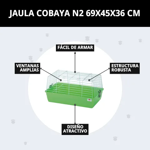 Cage pour cobayes N2 dans un environnement calme et sécurisé