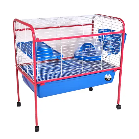 Détail du système de nettoyage et structure de la cage pour lapins