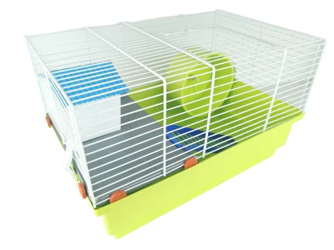 Échelle et second niveau de la cage pour petits rongeurs