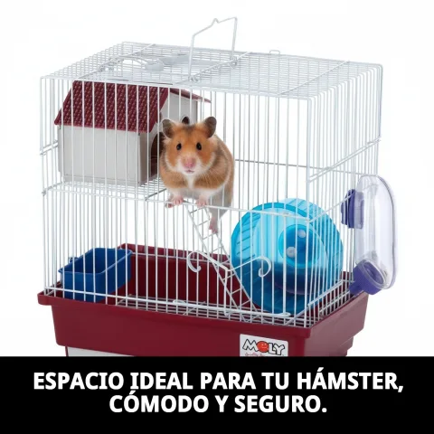 Cage démontée montrant la base et la structure supérieure