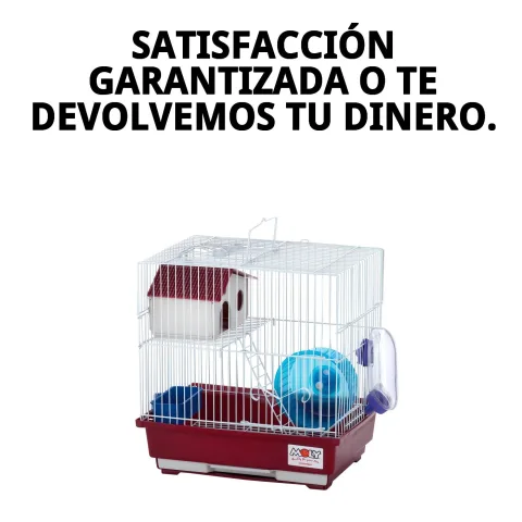 Cage hamster N.2 dans un environnement domestique