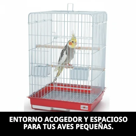 Cage Hawai pliée pour un transport et rangement aisés