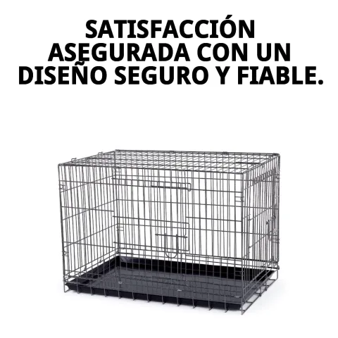 Vue générale de la structure métallique robuste de la cage pour chiens