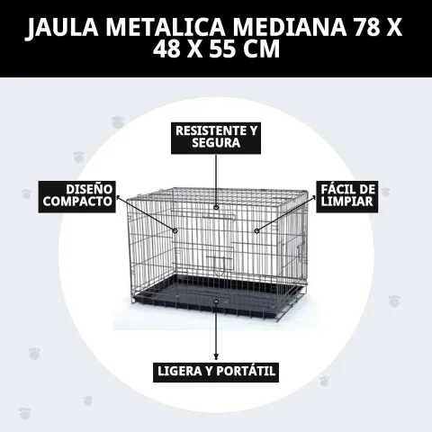 Chien sortant de la cage métallique Moly pour chiens moyens