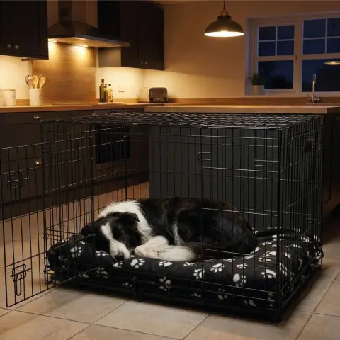 Intérieur de la cage offrant un espace confortable pour un chien moyen