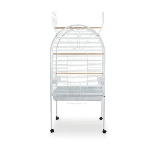 Cage Puerto Rico 78x60x155,5 cm pour grandes oiseaux