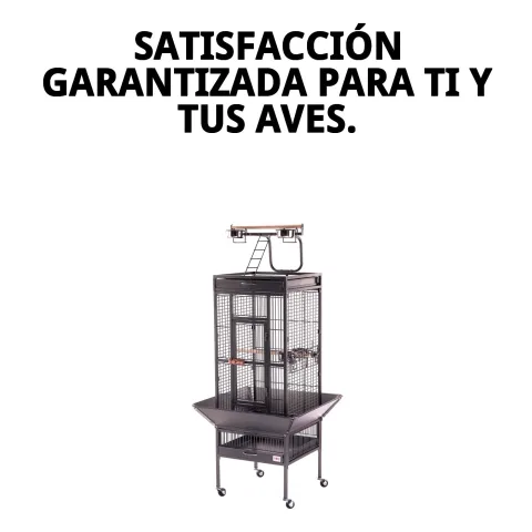 Cage Yaco dans un intérieur domestique montrant son intégration esthétique