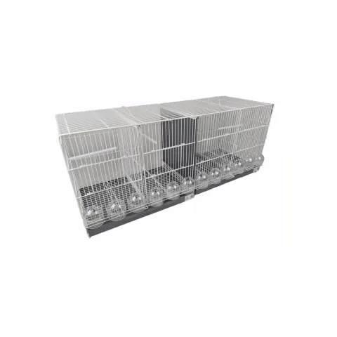 Détail grilles robustes cage pour oiseaux