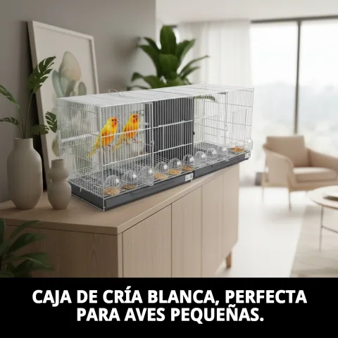Plateau amovible pour nettoyage facile cage
