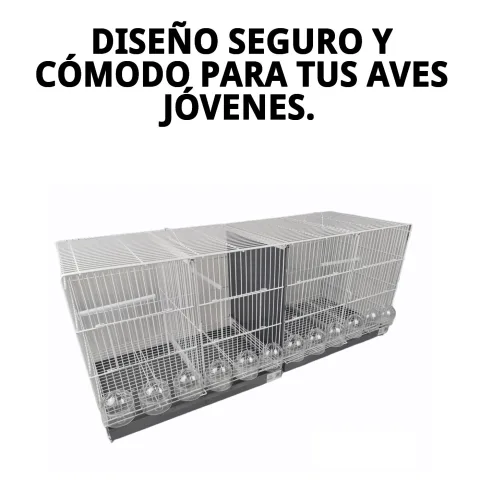 Cage d elevage pour oiseaux avec grand espace intérieur