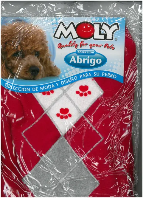 Chien de taille moyenne portant un jersey losanges lors d'une promenade par temps froid