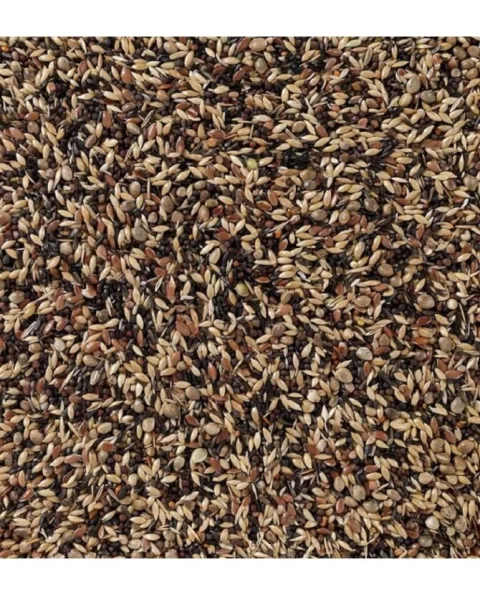 Gros plan sur les graines naturelles pour jilgueros Deli Nature