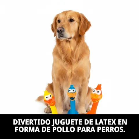 Chien jouant avec le jouet en latex Poulet Funny bleu