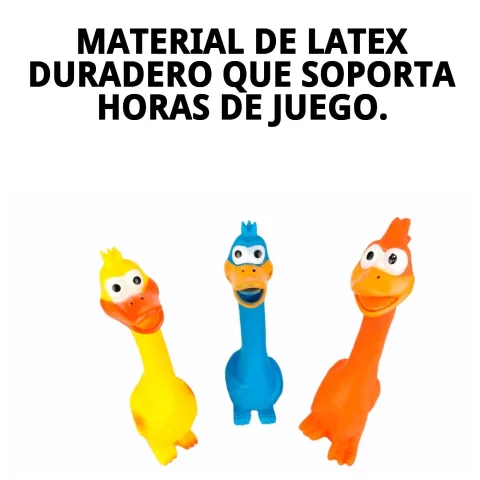 Jouet en latex Poulet Funny jaune sur fond blanc