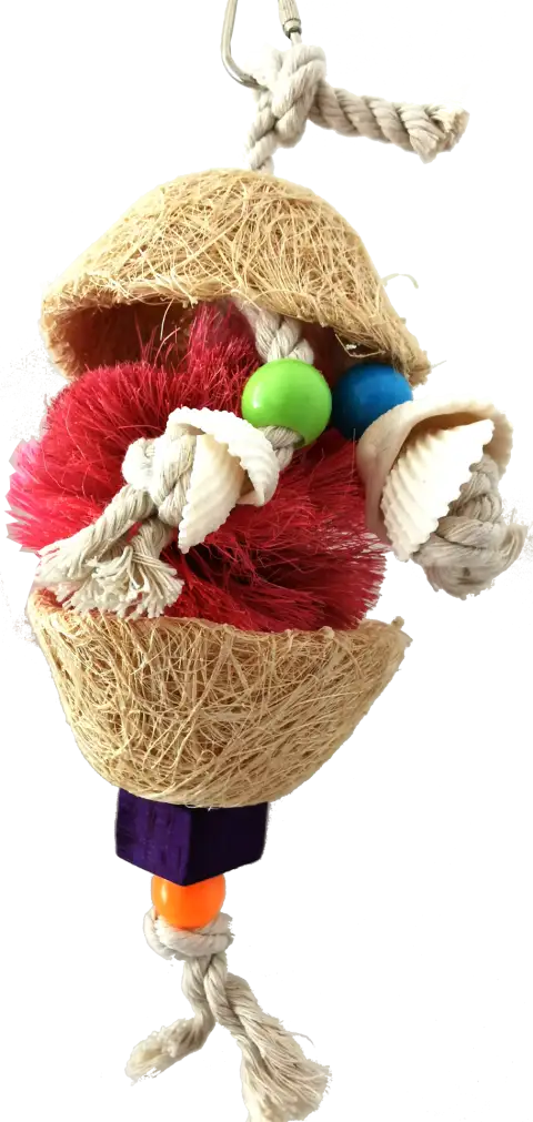 Jouet interactif fibres naturelles - coquillages 15x9