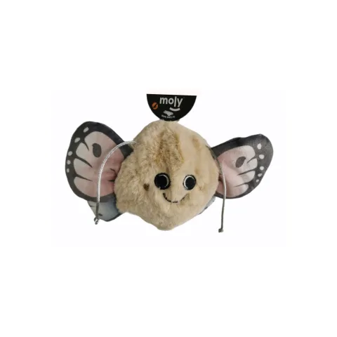 Chien petit jouant avec mordeur Butterfly de Compa Pattes
