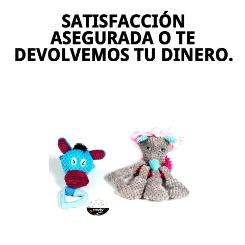 Texture du peluche punk avec mordeur pour chiens