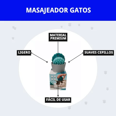 Chat détendu pendant un massage avec accessoire Compa Pattes