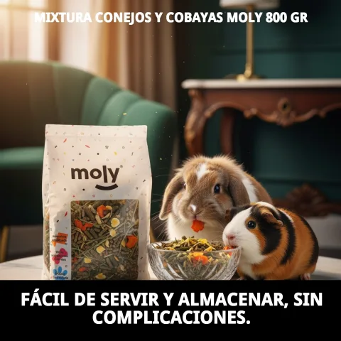 Cochon d'Inde appréciant l'alimentation Moly 800 gr