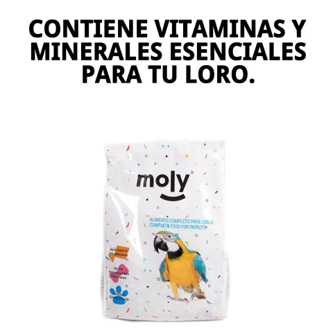 Perroquet mangeant le mélange Moly 600 gr