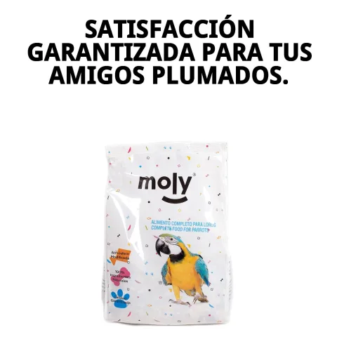 Bol contenant le mélange nutritif pour oiseaux exotiques Moly
