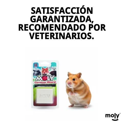Présentation en blister de MOLY Calcio Roedores