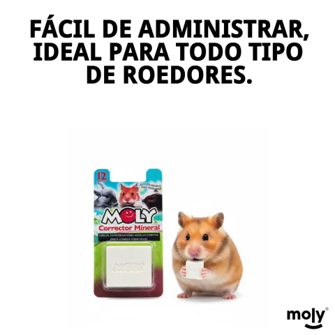 Dosage du supplément MOLY Calcio pour roedores