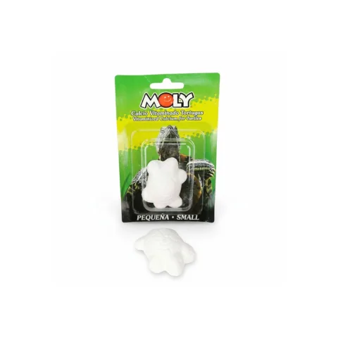 Petite tortue mangeant avec supplément MOLY Calcio