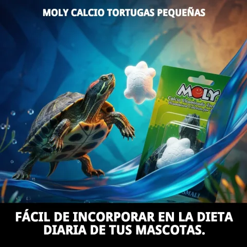 Nourriture avec supplément MOLY Calcio saupoudré