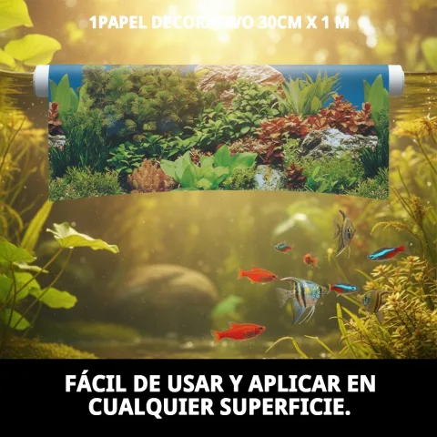 Herbe pour chats Moly pour enrichissement environnemental