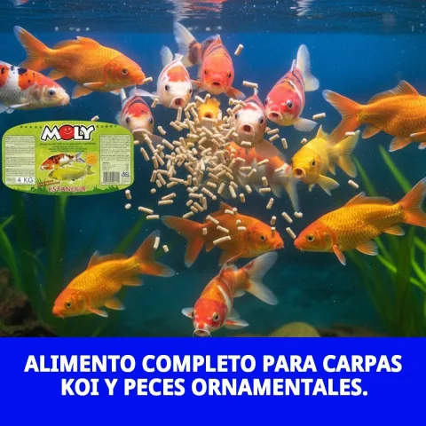 Sticks flottants MOLY pour alimentation de poissons d'étang