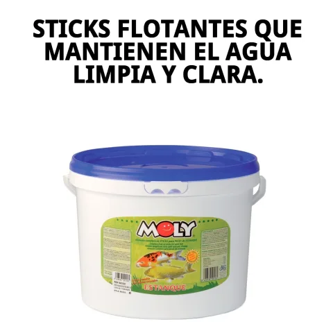 Poissons d'étang se nourrissant avec MOLY Estanque Sticks